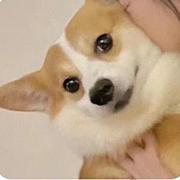 CTP361的个人资料头像