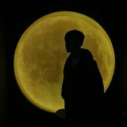 早知道的个人资料头像