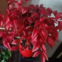 玩笑一下就乐头像