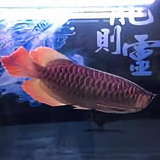 用户4540100352338头像