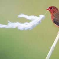 用户8592879932455头像