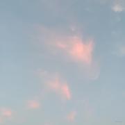 TiAmo0的个人资料头像