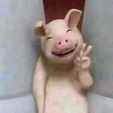 成熟柳叶gRX头像