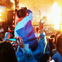 拉索米索拉索头像