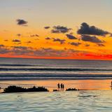 清闲的熊猫xYc头像