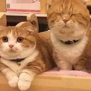 用户9613464092841的个人资料头像