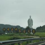 伊伊小宝宝a头像