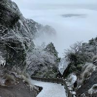 愉悦的旭日VOk头像