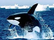 Check的个人资料头像