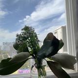 娃娃苦吖头像