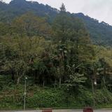认真的豆浆S5头像