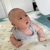 小老虎的成长记头像