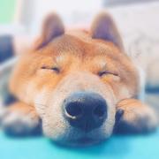JKS的个人资料头像