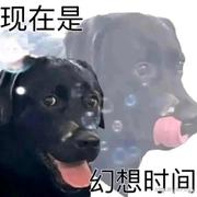 现在是幻想时间的个人资料头像