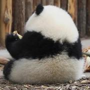 QIEMEI99hope的个人资料头像