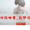 秦豪14头像