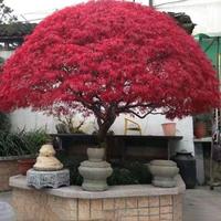 爱生活的钢笔7Qf头像