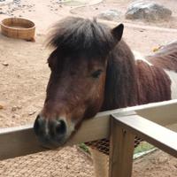 用户7146546869126头像