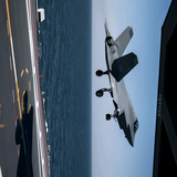 月亮月亮你不懂头像