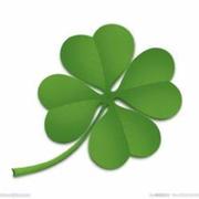 田利成的个人资料头像