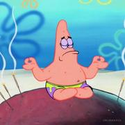 派d星的个人资料头像