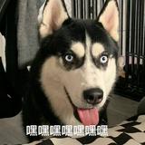 用户5799086618878头像