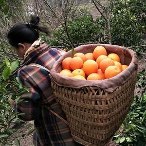 奉节县康之果水果店头像