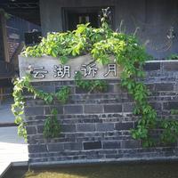 晓鱼晓世界头像