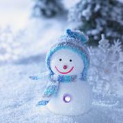 申慧芳的个人资料头像