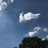 世界上根本没有奥特曼头像