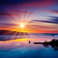 但愿余生都是祢头像