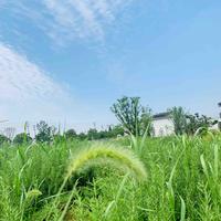 03的小主子头像