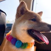 wujh0010的个人资料头像