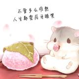 小米家的可乐头像