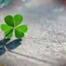 jesse1026的个人资料头像