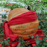 高原骑士10头像
