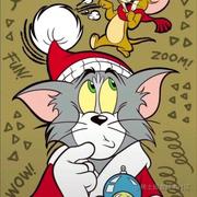 秃头小白的个人资料头像