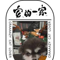 领动能源-联动云-晓杰头像