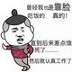 奇幻风声MVV头像