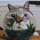 陈敬丰的个人资料头像