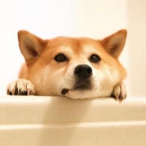 不忘开心噢耶头像