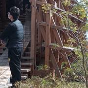 应运茹守的个人资料头像