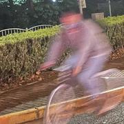 newest_boy的个人资料头像