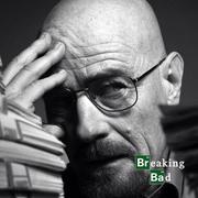 鸿雁的翱翔的个人资料头像