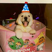 西柚keys的个人资料头像