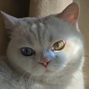 虾球_小天的个人资料头像