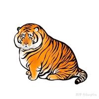 tigerfine头像