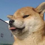 哦诶诶585头像