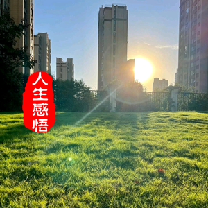 短视频剪辑头像