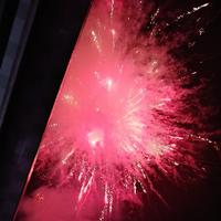 廖加菲猫先生头像